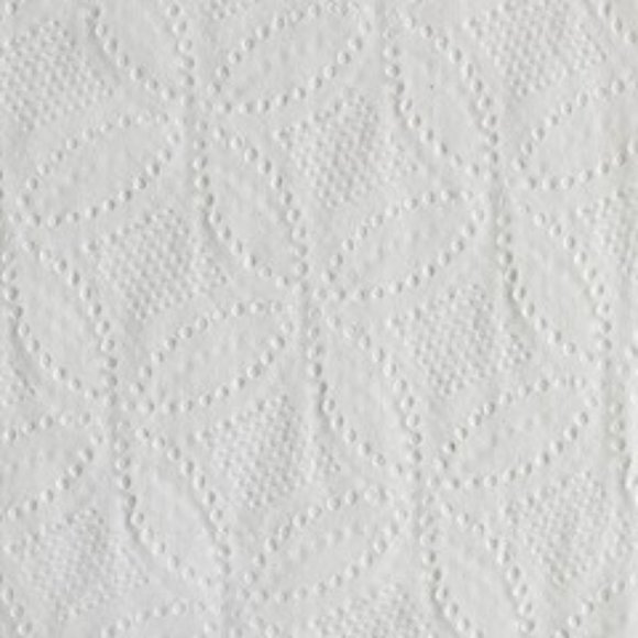 Georgia Pacific Professional Pacific Blue Basic Bathroom Tissue, Septic Safe, 2- - Picture 4 of 7